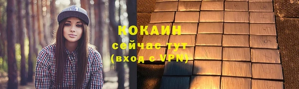 стафф Богородицк