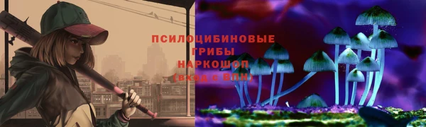 стафф Богородицк