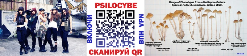 Псилоцибиновые грибы мицелий Хабаровск